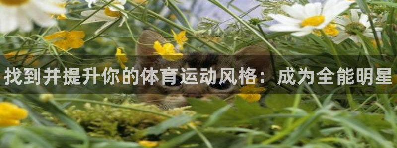 JJB竞技宝官网下载招商电话号码是多少啊:找到并提升你的体育