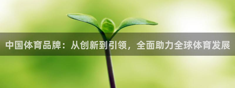 JJB竞技宝官方正版app神州:中国体育品牌:从创新到引领,