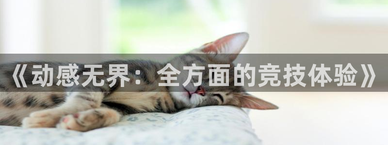 JJB竞技宝官网下载平台注册:《动感无界:全方面的竞技体验》