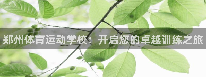 JJB竞技宝官方正版app新能源:郑州体育运动学校:开启您的